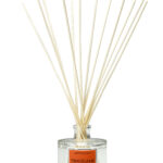 CERERIA MOLLA 1899 DIFFUSER BRAZILIAN MANGO 100ML