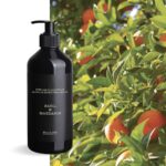 BASIL & MANDARIN HANDWASH 500ML