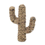 Ψάθινος Κάκτος