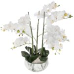 WHITE ORCHID 65cm high