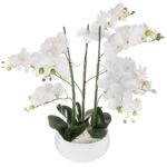 WHITE ORCHID 65cm high