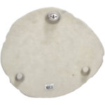 WALL PLAQUE CORAL SANDSTONE IVORY 35.5 X 31.5 X 6.8 CM - Image 4