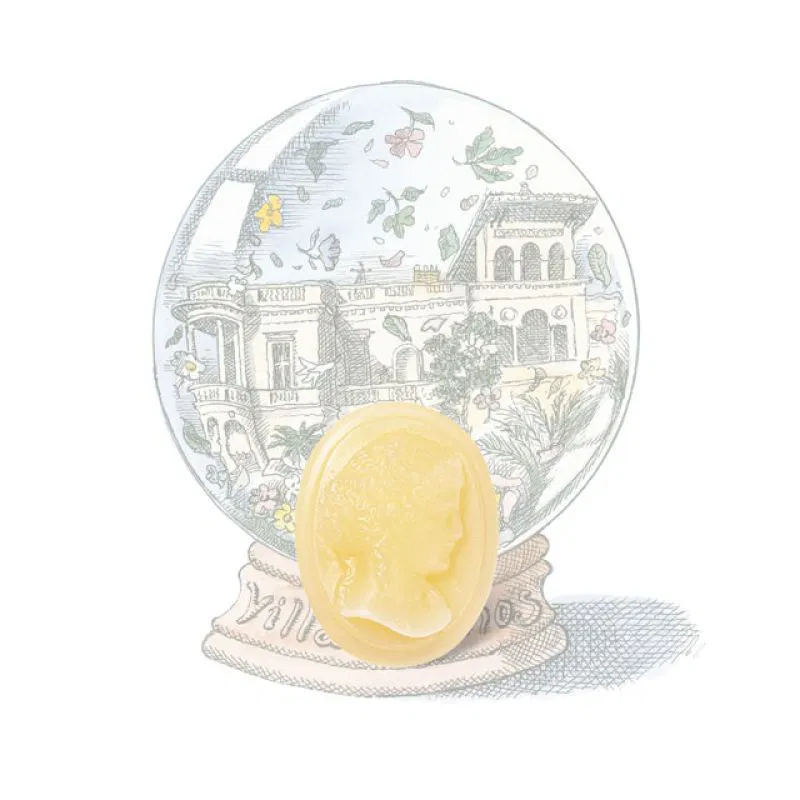 CYRNOS MELTER TRUDON - Image 1