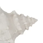 NIGHTSTAND SHELL TABLE LAMP - Image 3