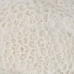 NIGHTSTAND SPONGE TABLE LAMP - Image 4
