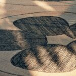 AMAPOLA OUTDOOR RUG NATURAL BLACK - 2 SIZES - Image 2